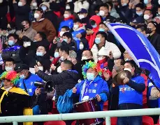 mk体育登录-武汉三镇最新消息换外援